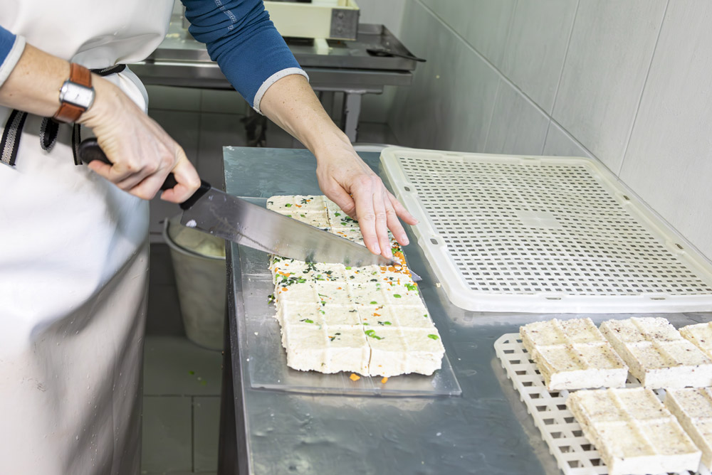 Fabrication tofu bio seeland