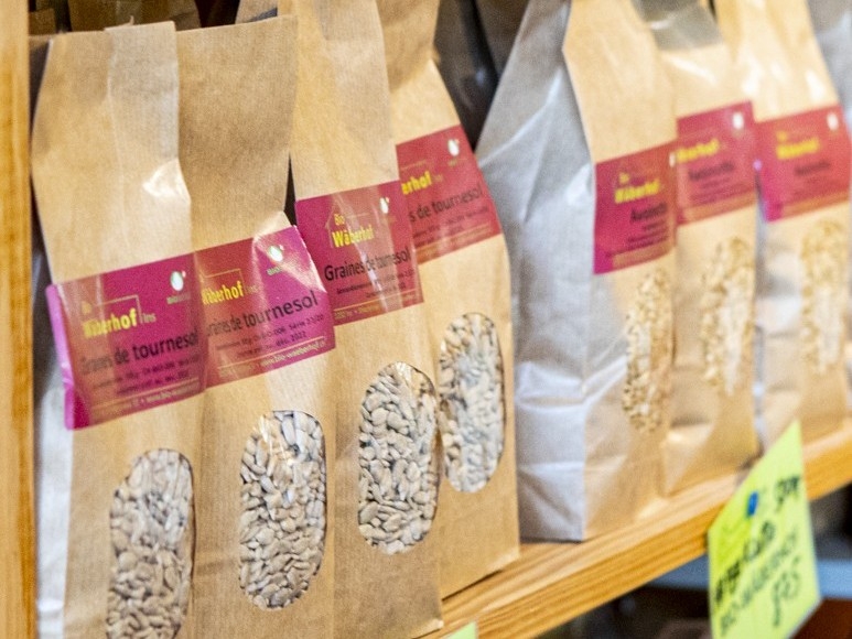 GRAINES DE TOURNESOL - Bio-Wäberhof