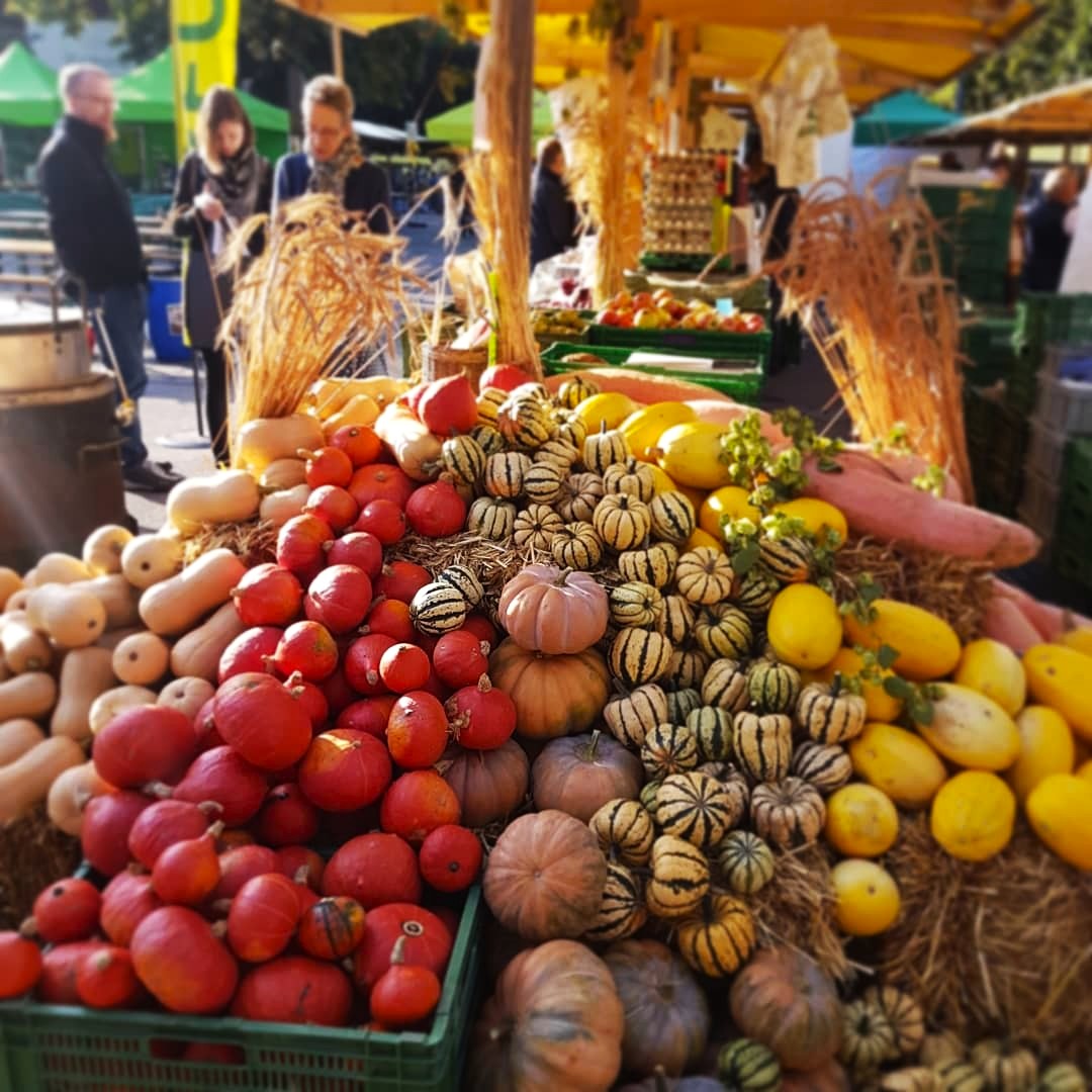 Assortiment de courges au marché bio