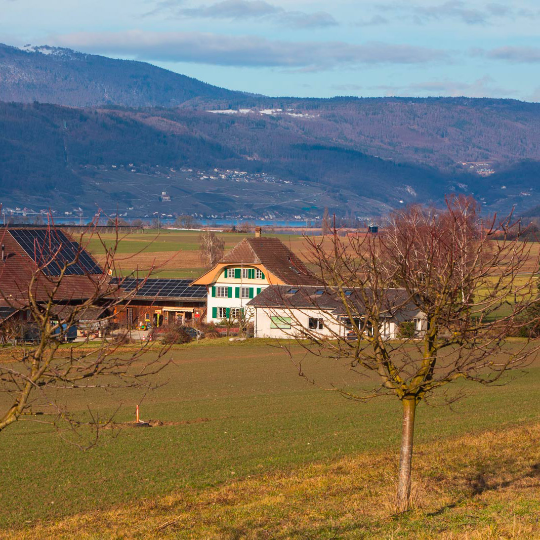 En attente de l’image du produit